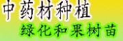 黃精、辣木、重樓等中藥材的種子培育