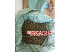 專業花椒砂仁批發0871-64155848圖3