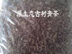 古樹茶完整單株生散茶批發(fā)價格圖2