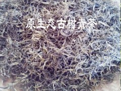 保山單株生散茶批發#古茶樹批發生采購價格圖2