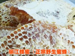 |麗江蜂蜜基地批發|蜂產品供應批發|圖2