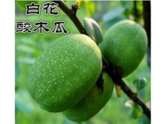 保山白花酸木瓜批發價格|龍陵白花酸木瓜什么價格|2018白花酸木瓜什么價格圖3