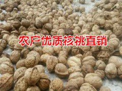 2016麗江玉龍本地核桃行情%農戶自產自銷核桃價格*麗江核桃圖2