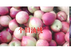 個舊云紅梨|早春晚桃(苗) |批發市場報價*云南云紅梨價格圖3