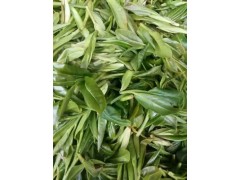 銀溪高山韻普洱沱茶（250g)生茶圖2