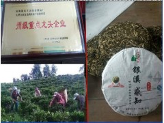 西雙版納 景洪市哪里有綠茶制品廠圖3