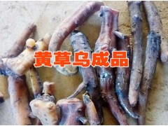 云南直桿草烏市場報價#直桿草烏行情分析圖3