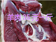 目前山羊肉@今年山羊肉價格& 山羊肉批發(fā)&新山羊肉羊養(yǎng)殖戶圖3