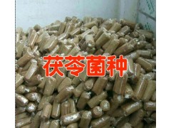 云南省茯苓菌種哪里有？圖3