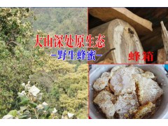 云南百花蜜養殖基地&云南好的蜂蜜在哪里&圖3