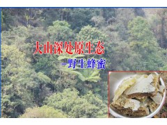 金平蜂蜜多少錢一斤&紅河蜂蜜批發供應商圖2