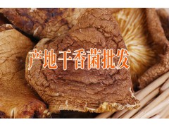 云南大理特產山珍原味供應商圖2