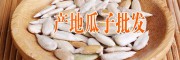 產地云南瓜子批發(fā)市場動態(tài)(云南)