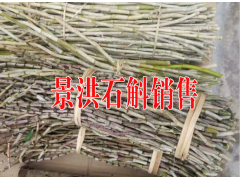 景洪普洱茶#西雙版納小粒咖啡#傣族的蟲類美食銷售圖3