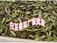 2019年鮮白芨價格%白芨種苗價圖3