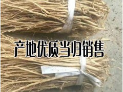 陜西/甘肅/湖北當歸批發種苗%今日當歸種苗銷售批發多少一斤圖3