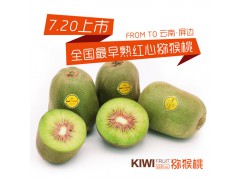 陽(yáng)光果園紅心獼猴桃7月下旬新鮮上市，歡迎各位老板前來(lái)參觀指導(dǎo)、業(yè)務(wù)洽談圖2