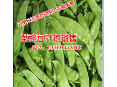 青碗豆多少錢#優質青碗豆批發價格圖2