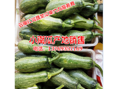 青碗豆多少錢#優質青碗豆批發價格圖3