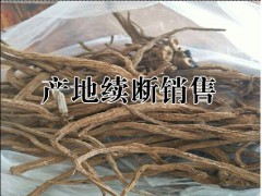 續(xù)斷干品多少錢(qián)一斤?圖2