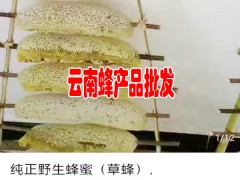 普洱孟連蜂蜜多少錢一斤?圖2