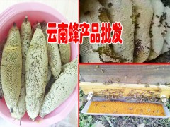 云南普洱墨江縣蜂蜜哪里多？圖3