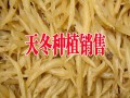 昆明天冬批發(fā)市場報價(種植戶)#2017天門冬銷售價格在多少