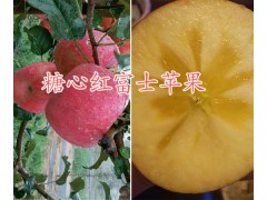 糖心紅富士蘋果-曲靖糖心紅富士蘋果批發&馬龍糖心紅富士基地圖2