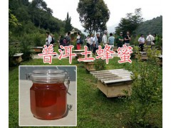 云南蜂蜜產區直銷-普洱普洱蜂蜜供應商&蜂蜜銷售合作社圖2