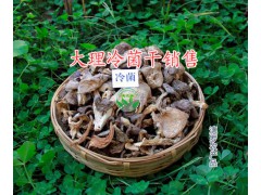 雞足山冷菌干供應-云南松茸干批發-大理二級松茸干廠家圖1