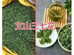 三七花哪個品牌價格實惠？文山三七干花銷售圖2