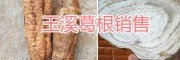 玉溪生態野葛根、葛根干片銷售，干葛根批發