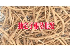 重樓-金鐵鎖種植銷售公司圖3