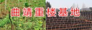 優質滇重樓根-曲靖宣威重樓生產種植基地/宣威市農業科技