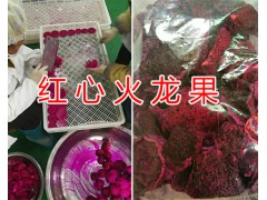 火龍果干花多少錢一斤？火龍果干花批發(fā)&云南火龍果花圖2