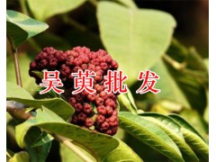 玫瑰茄（洛神花）價(jià)格&功勞木，云南金櫻根/黨參/當(dāng)歸批發(fā)價(jià)圖2