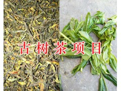 古樹茶多少錢一斤/紅河古茶樹-茶園項(xiàng)目圖2