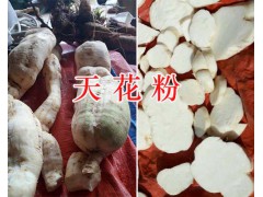 天花粉是什么的根&天花粉生產企業(yè)-云南天花粉圖2