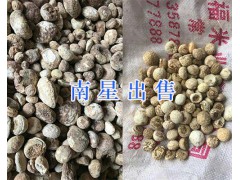 昆明中藥材供應：大天冬、天南星、龍膽草、茯苓塊_云南藥材圖3