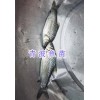 青波魚苗銷售-青魚苗批發(fā)—四川眉山水產(chǎn)魚苗