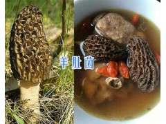 麗江特產羊肚菌-#香格里拉羊肚菌圖2