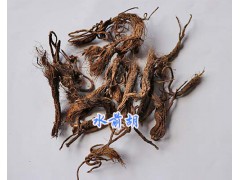 云南馬尾黃連成品&三七根/水前胡批發-辛夷花多少錢一斤圖2