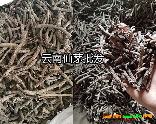 云南仙茅批發