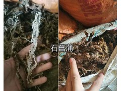 南板藍根產地在哪？紅河州南板藍根供應商：紅農藥業圖3