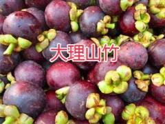 大理芒果批發-哈密瓜銷售*087164155848圖2