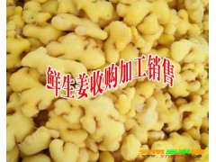 云南含硫姜制品 干姜片(中統)云南貨價格在23-24元之間，進口貨20-22元圖3