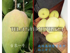 云南哪里芒果比較多?今日芒果價格是多少?圖3