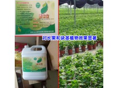 中藥材種植用什么?_中藥材白芨專用肥料圖2