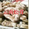 姬松茸價格多少錢一斤?麗江農特產信息網