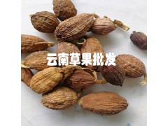 草果價格|今年草果價格行情|草果哪里的好(品牌)圖2